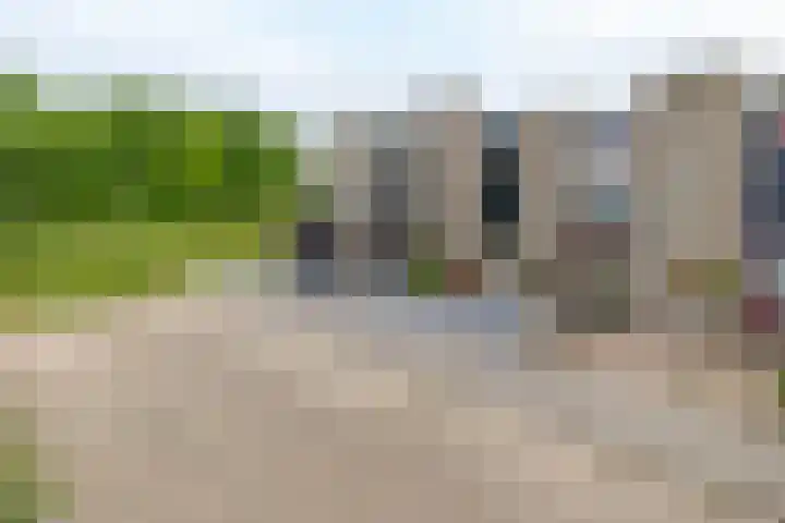 Lauwerijnstraat 50 Nieuwe-Tonge thumbnail 4