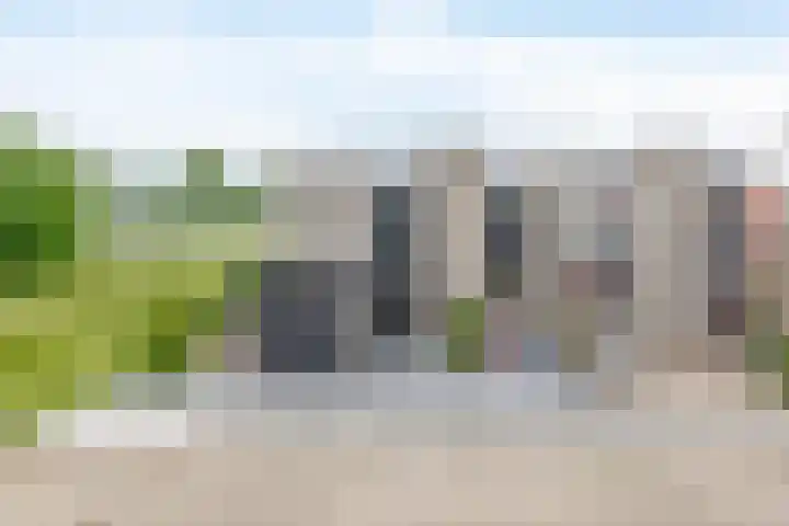 Lauwerijnstraat 50 Nieuwe-Tonge thumbnail 5