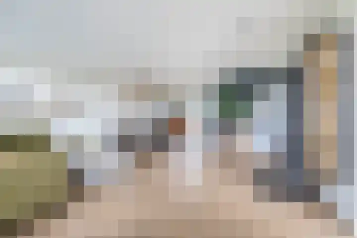 Lauwerijnstraat 50 Nieuwe-Tonge thumbnail 8