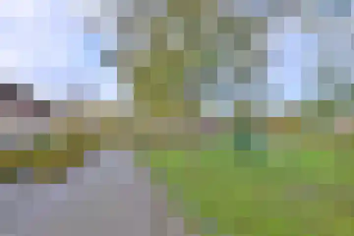 Lauweriksplein 10 Deventer thumbnail 33