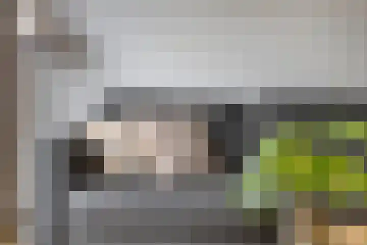 Lauweriksplein 7 Deventer thumbnail 10