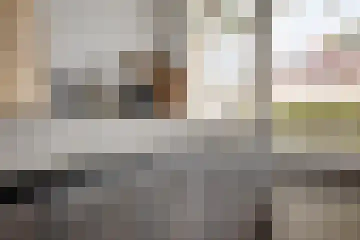 Lauweriksplein 7 Deventer thumbnail 16