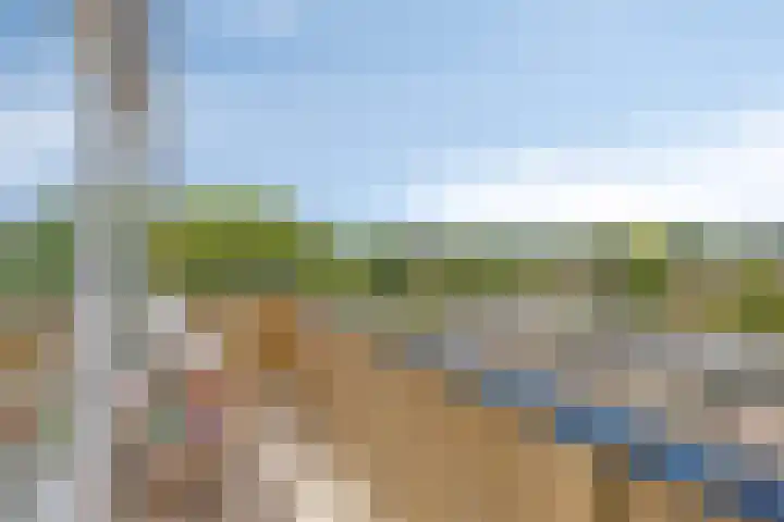 Lauwers 136 Alphen aan den Rijn thumbnail 20