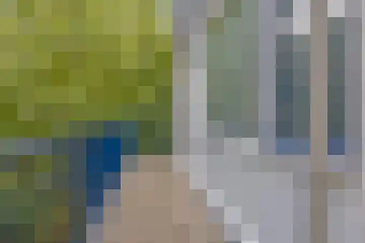 Lauwers 136 Alphen aan den Rijn thumbnail 22