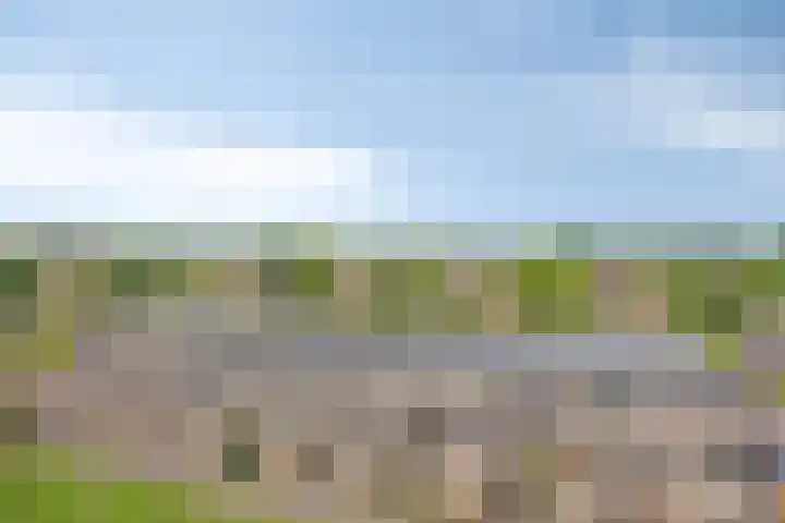 Lauwers 136 Alphen aan den Rijn thumbnail 23