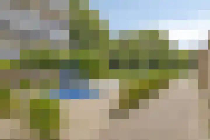 Lauwers 136 Alphen aan den Rijn thumbnail 27