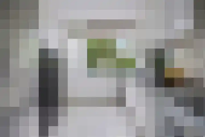 Lauwers 136 Alphen aan den Rijn thumbnail 5