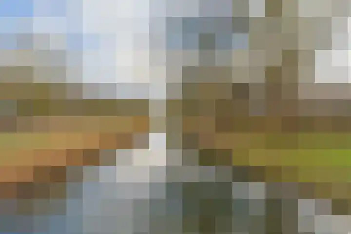 Lauwers 170 Alphen aan den Rijn thumbnail 28