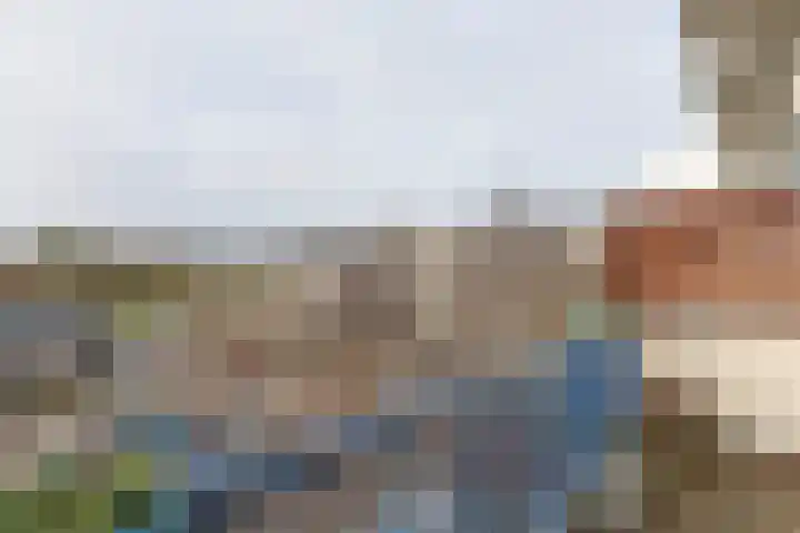 Lauwers 170 Alphen aan den Rijn thumbnail 9