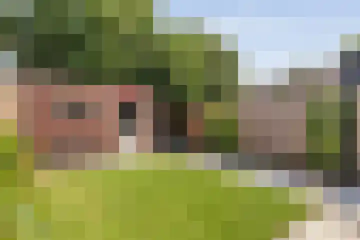 Lauwers 18 Zwolle thumbnail 31