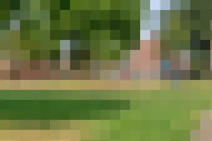 Lauwers 18 Zwolle thumbnail 33