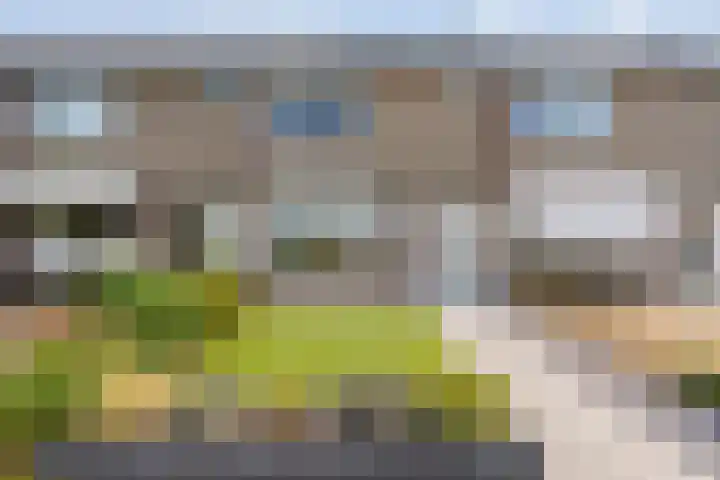 Lauwers 18 Zwolle thumbnail 4