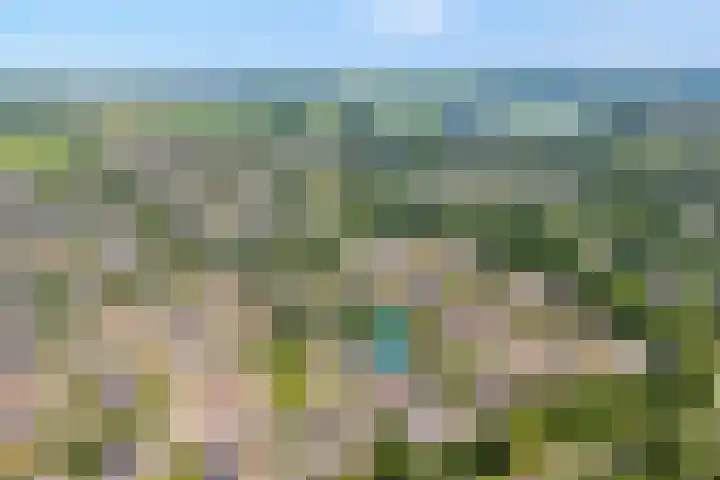 Lauwers 18 Zwolle thumbnail 5