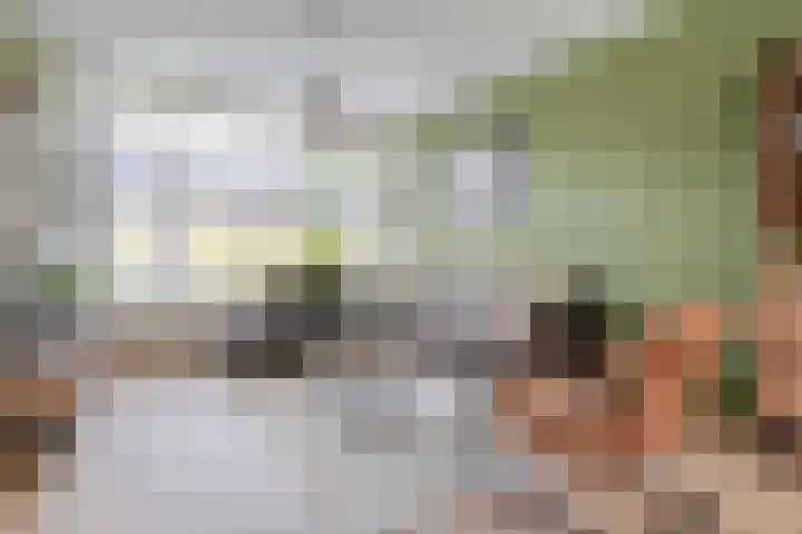 Lauwers 18 Zwolle thumbnail 8