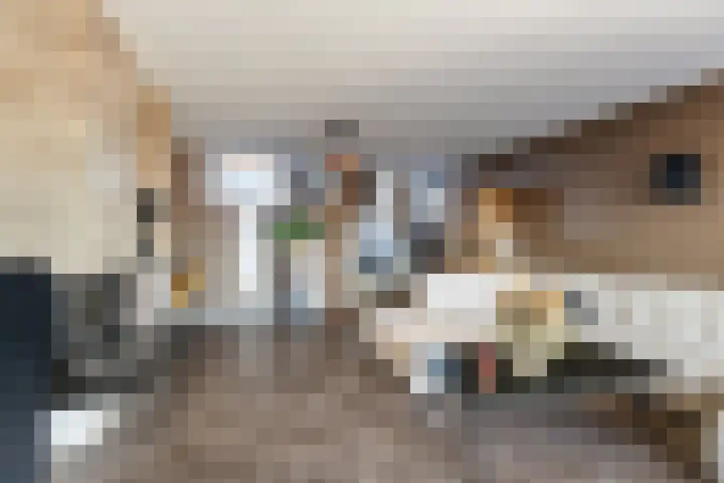 Lauwers 19 Zwijndrecht thumbnail 17