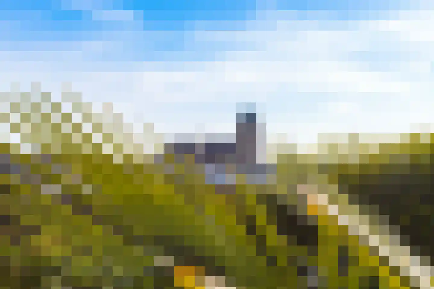 Lauwers 19 Zwijndrecht thumbnail 23