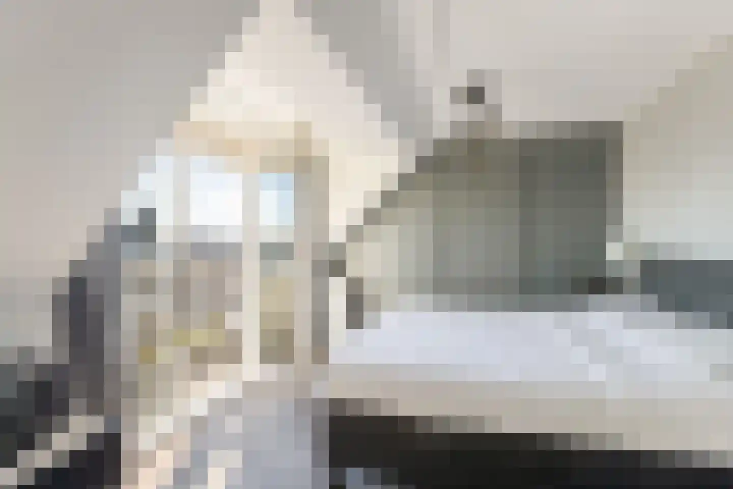 Lauwers 19 Zwijndrecht thumbnail 44
