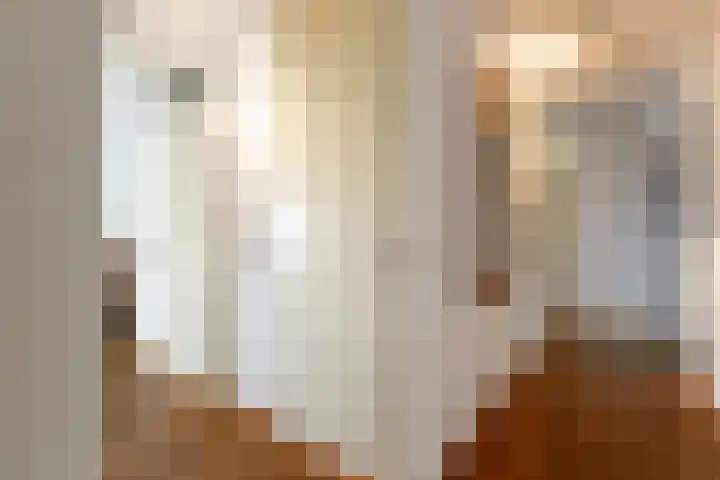 Lauwers 20 Hoofddorp thumbnail 14