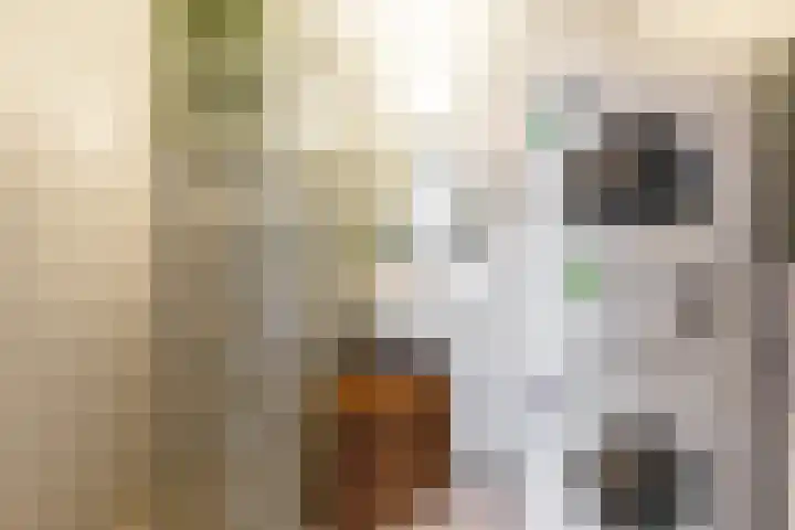 Lauwers 20 Hoofddorp thumbnail 17
