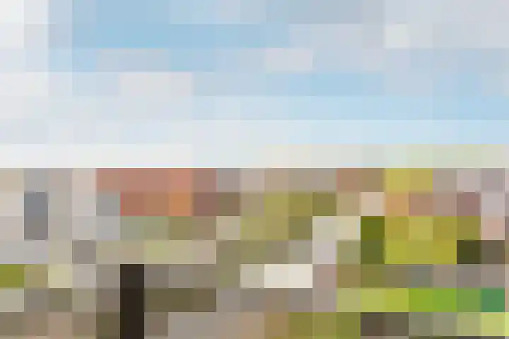 Lauwers 20 Hoofddorp thumbnail 21