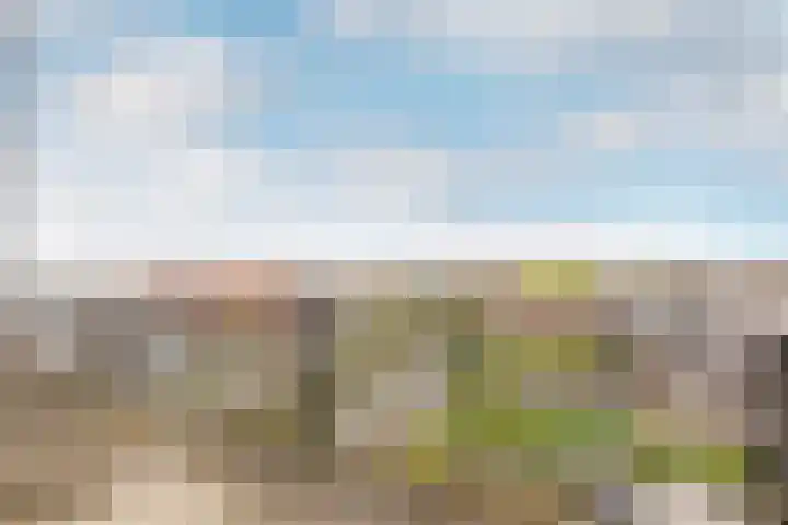 Lauwers 20 Hoofddorp thumbnail 22