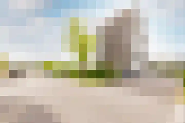 Lauwers 20 Hoofddorp thumbnail 25