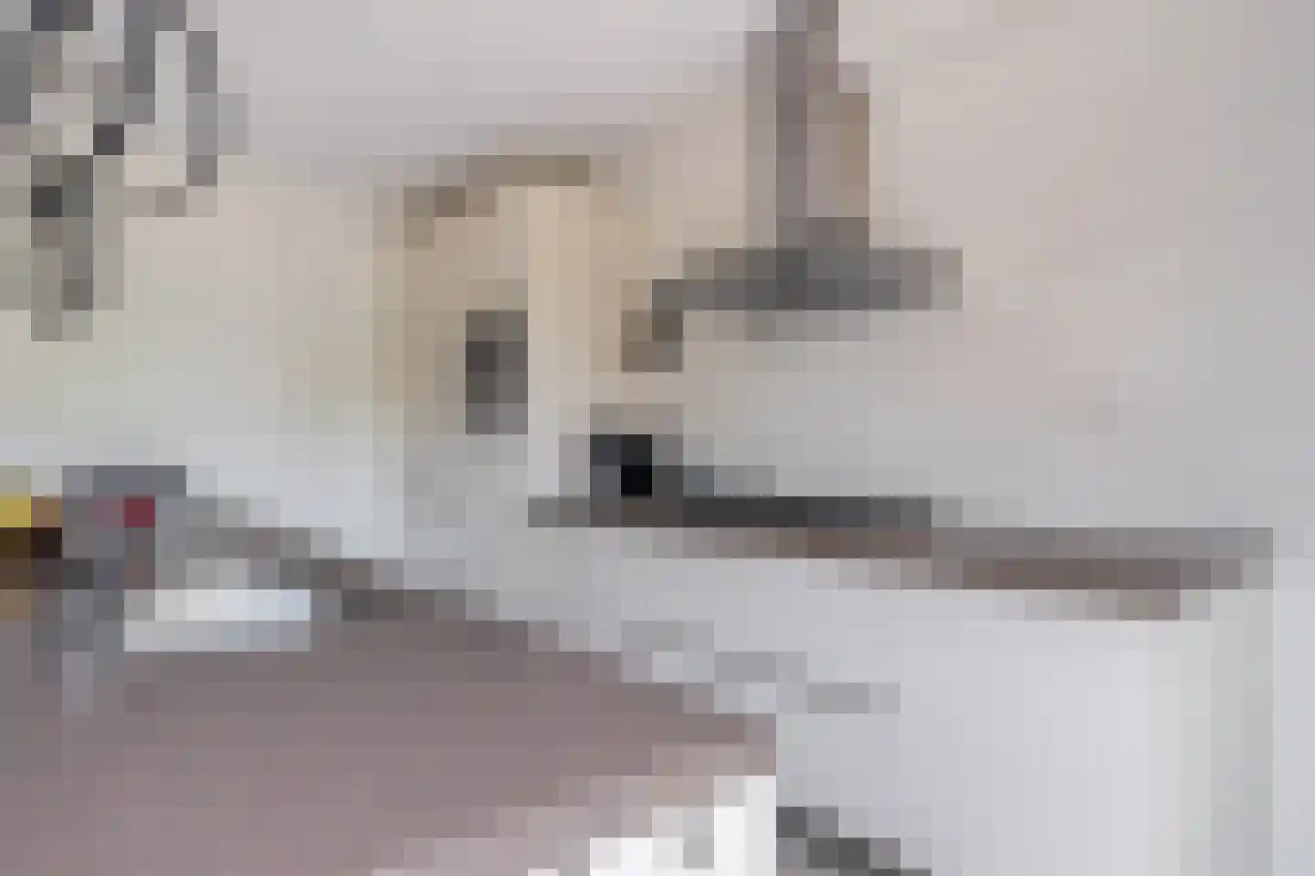 Lauwers 24 Nootdorp thumbnail 10