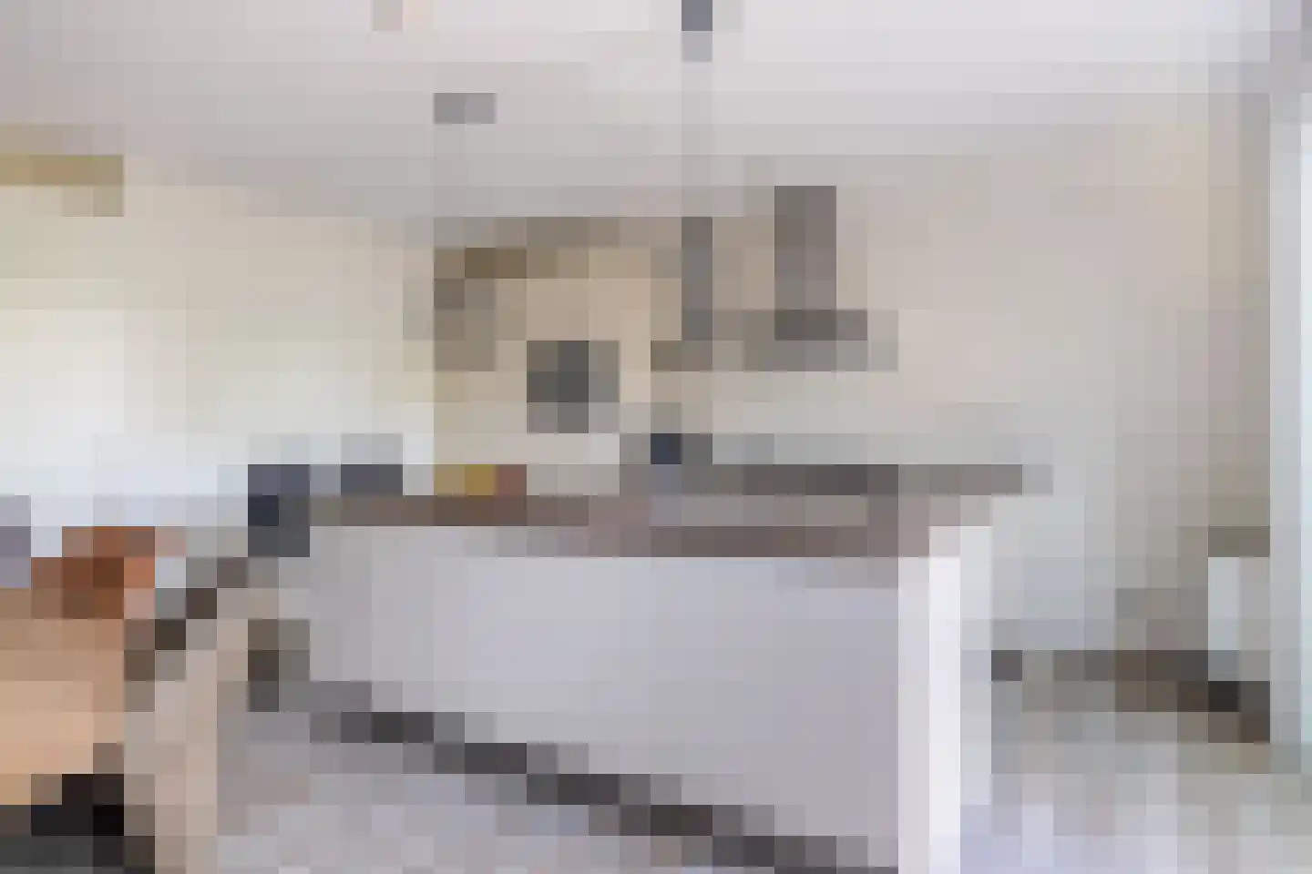 Lauwers 24 Nootdorp thumbnail 11