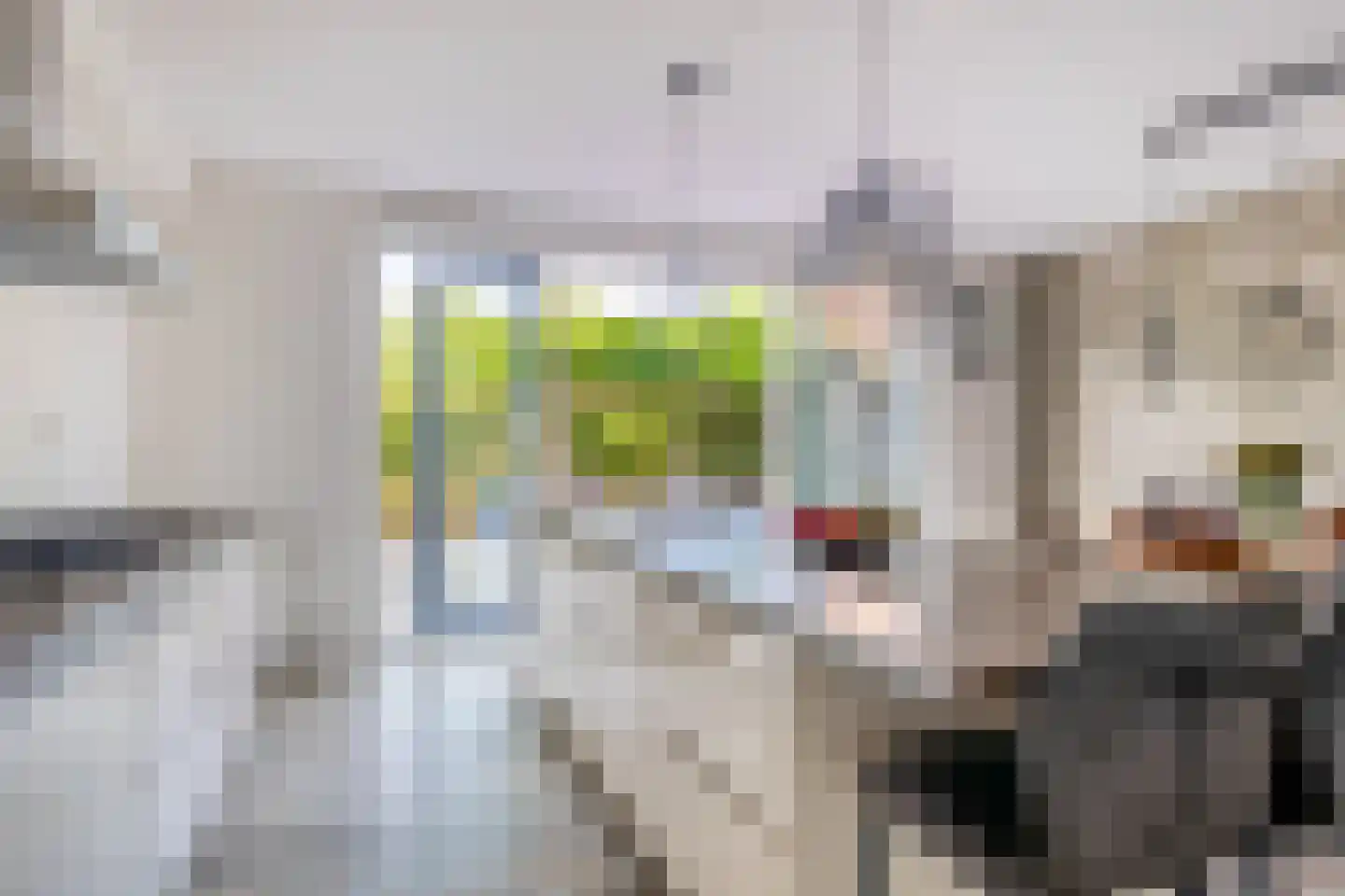 Lauwers 24 Nootdorp thumbnail 12