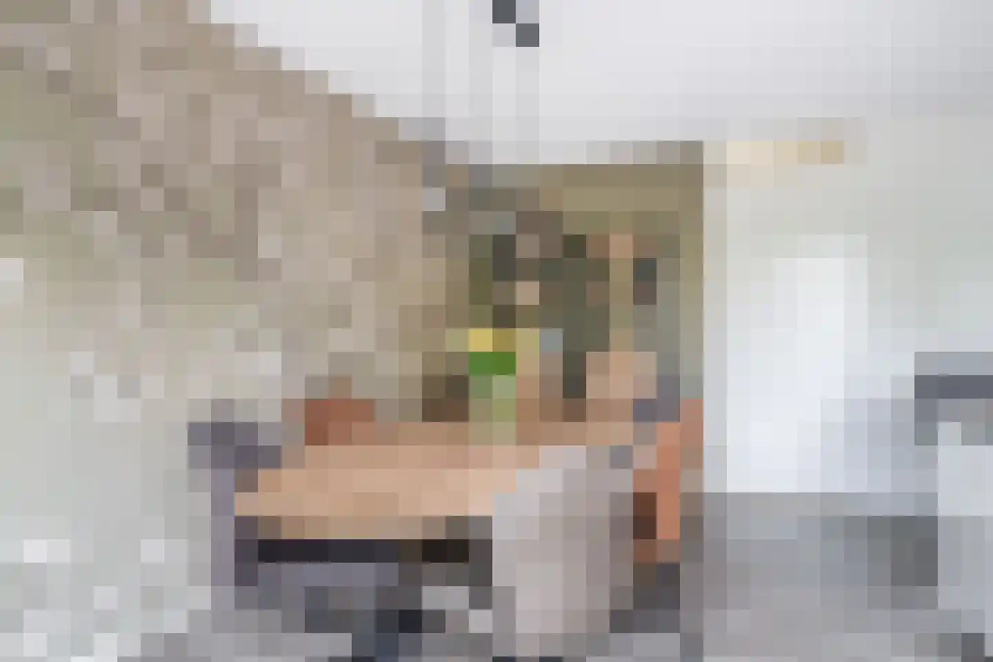Lauwers 24 Nootdorp thumbnail 14