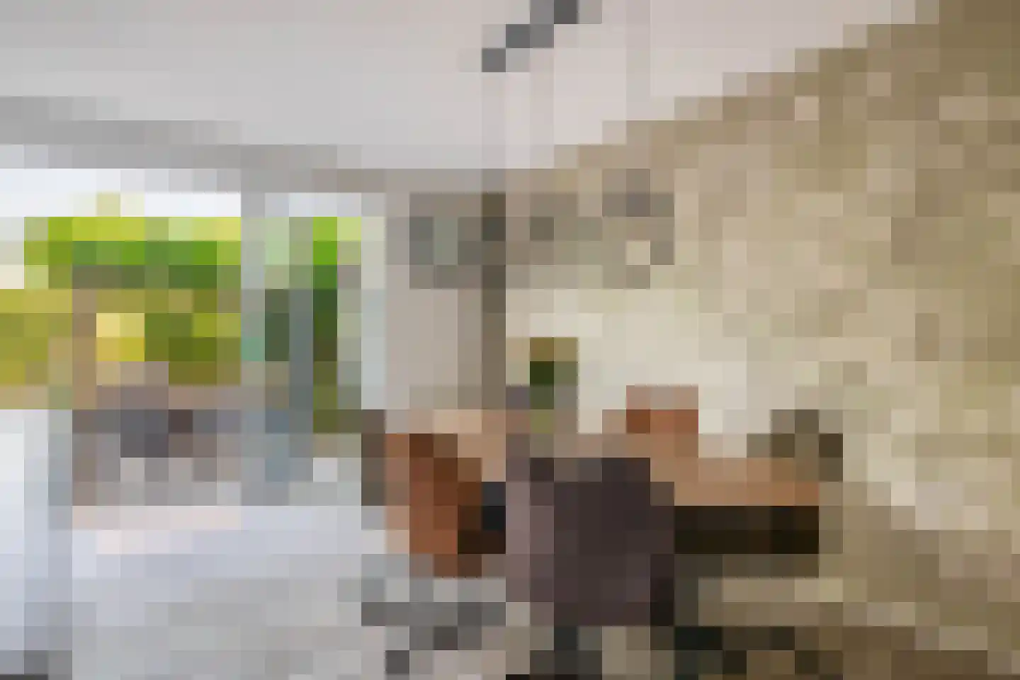 Lauwers 24 Nootdorp thumbnail 15