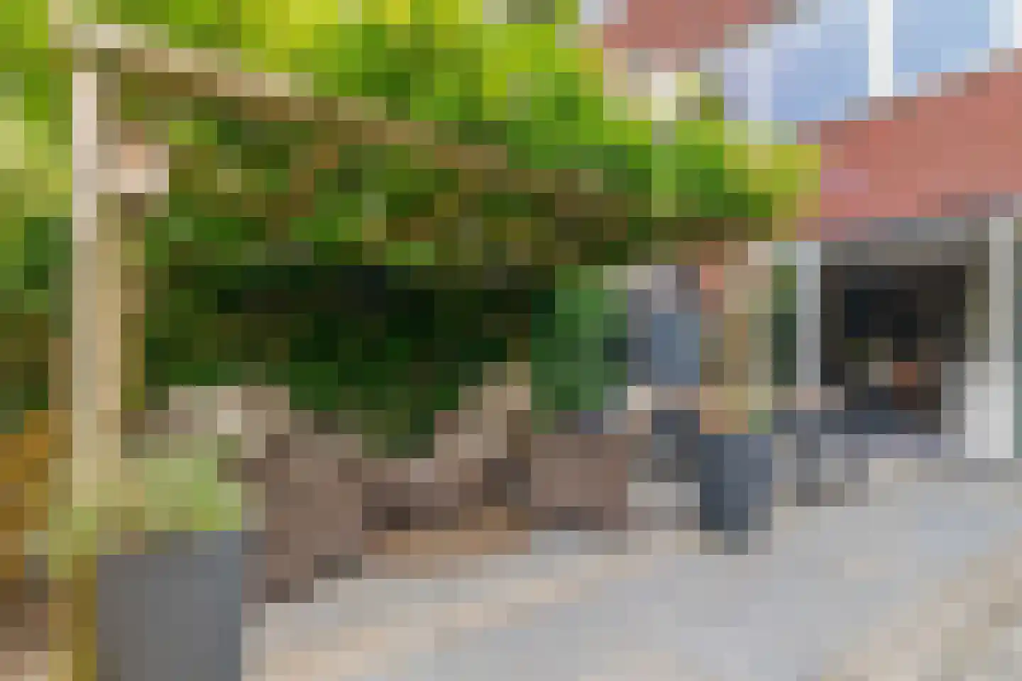 Lauwers 24 Nootdorp thumbnail 18