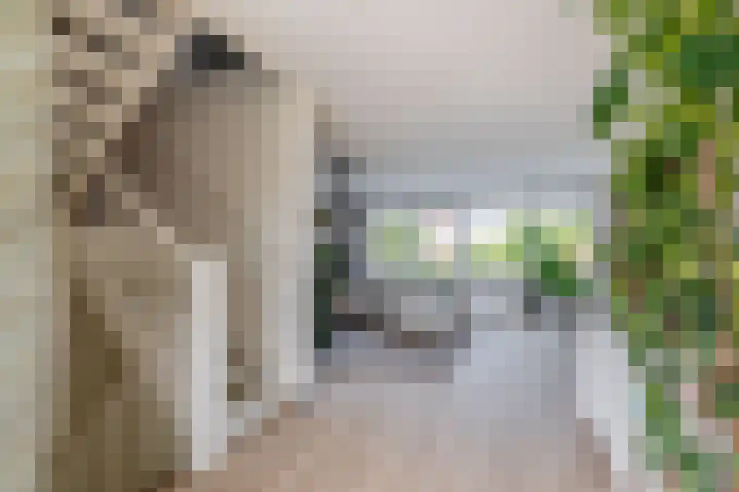 Lauwers 24 Nootdorp thumbnail 23