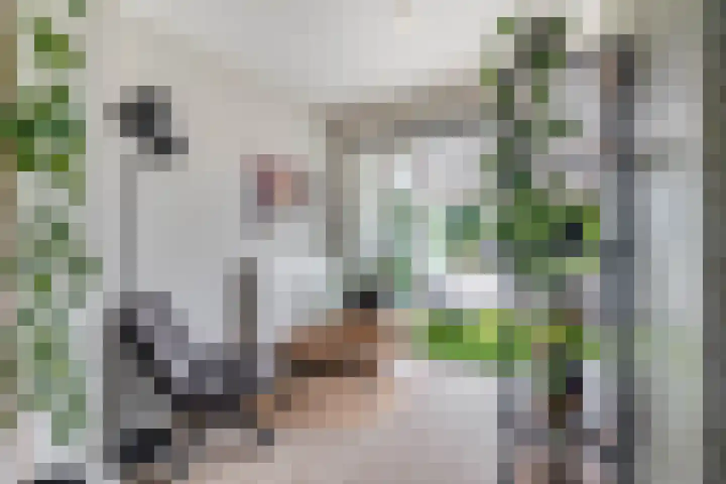 Lauwers 24 Nootdorp thumbnail 24
