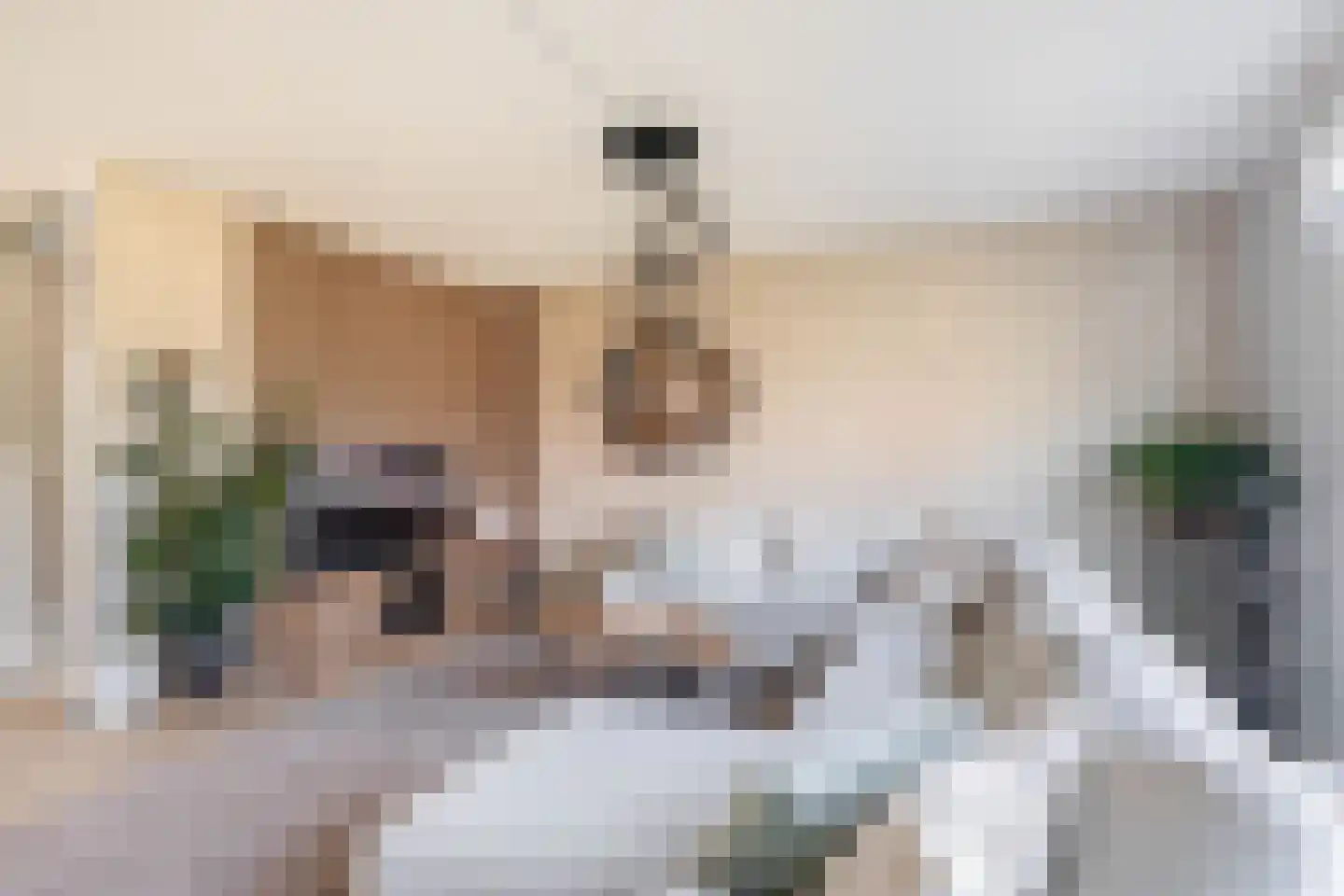 Lauwers 24 Nootdorp thumbnail 26