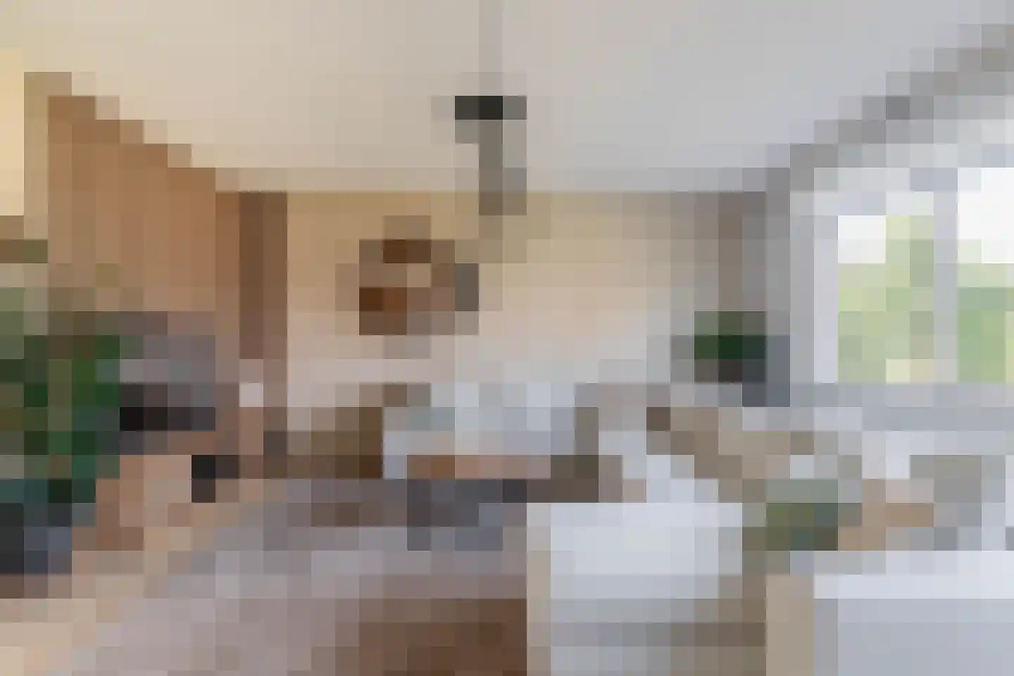 Lauwers 24 Nootdorp thumbnail 28