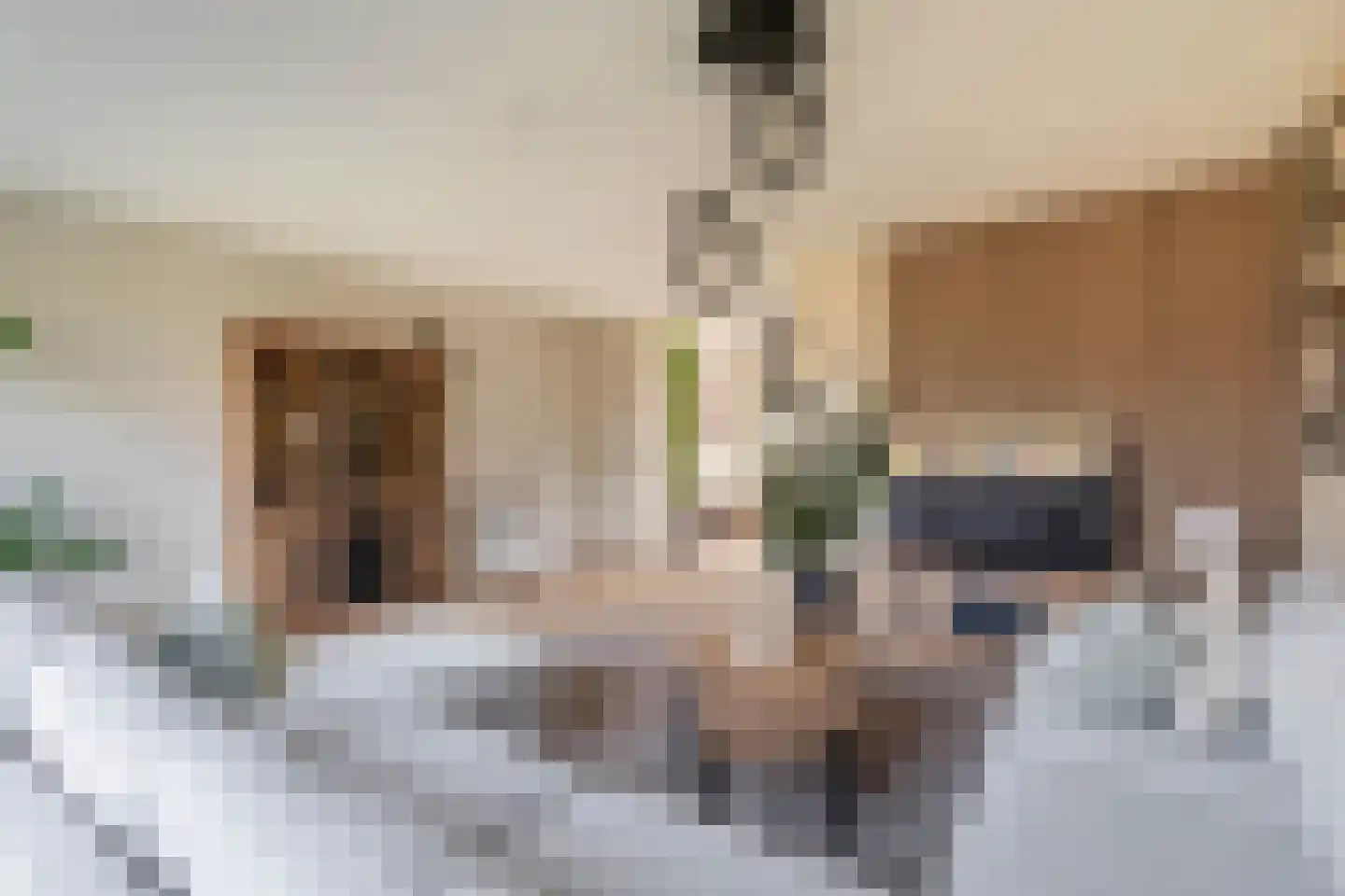 Lauwers 24 Nootdorp thumbnail 29