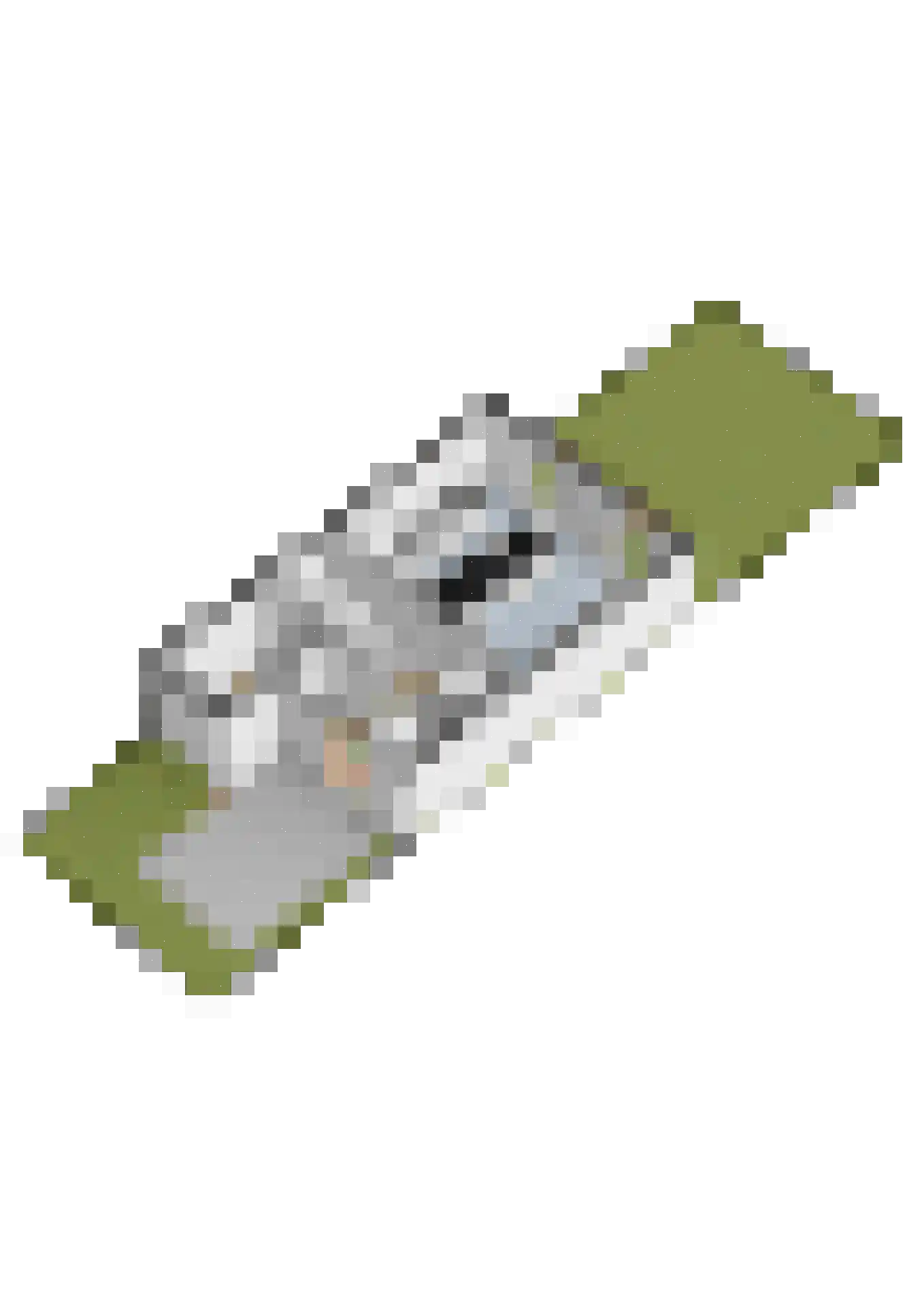 Lauwers 24 Nootdorp thumbnail 56