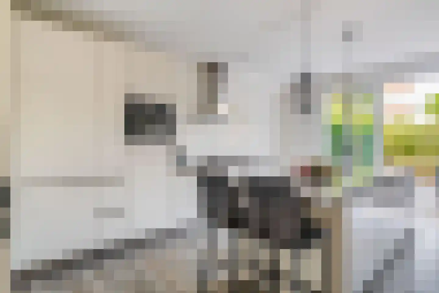 Lauwers 24 Nootdorp thumbnail 7