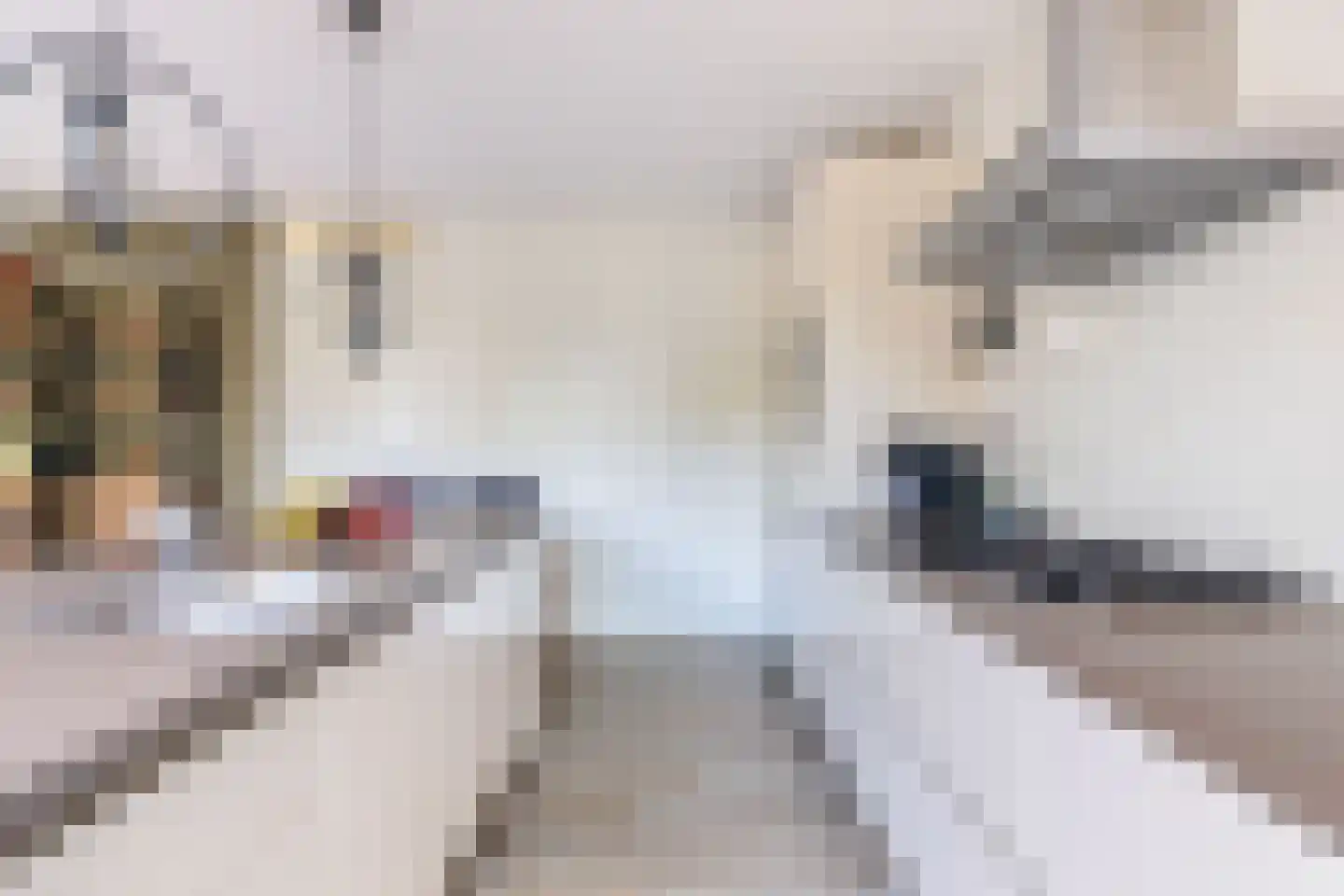 Lauwers 24 Nootdorp thumbnail 8
