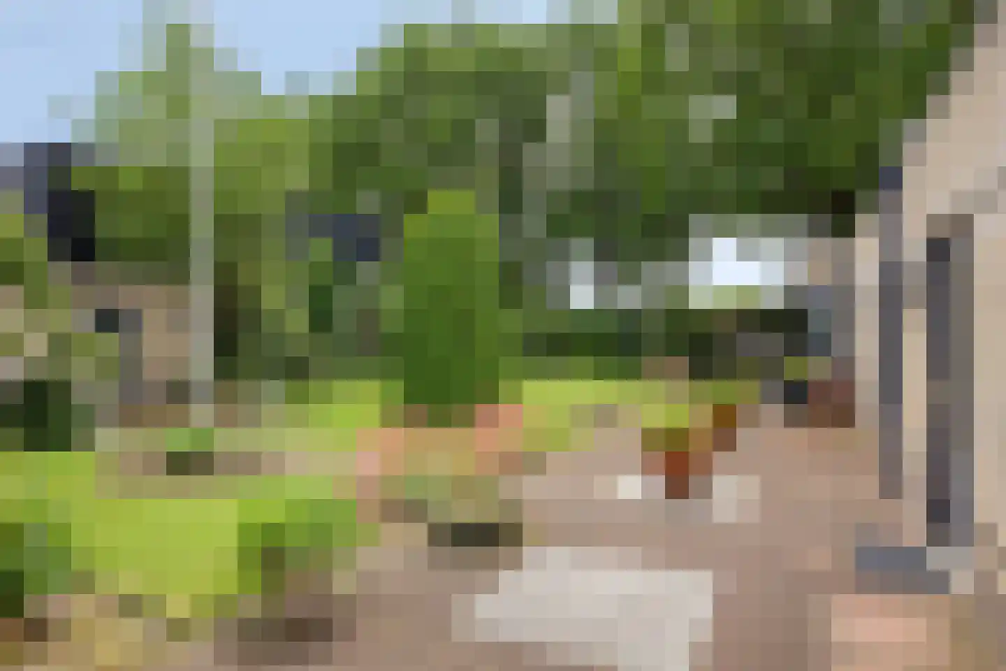 Lauwers 27 Tilburg thumbnail 17