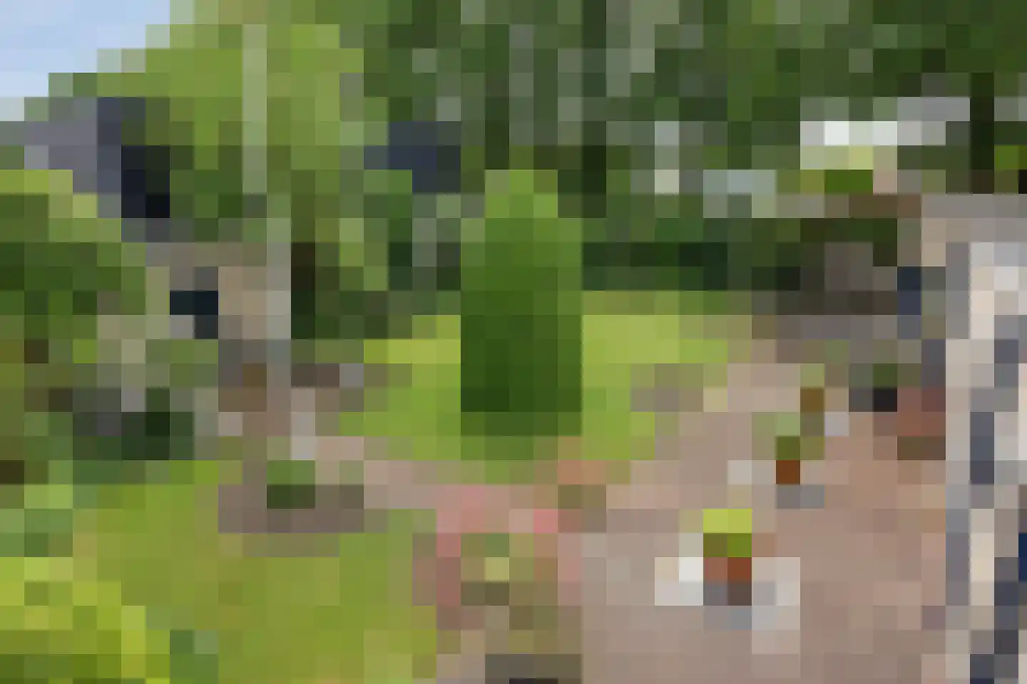 Lauwers 27 Tilburg thumbnail 20
