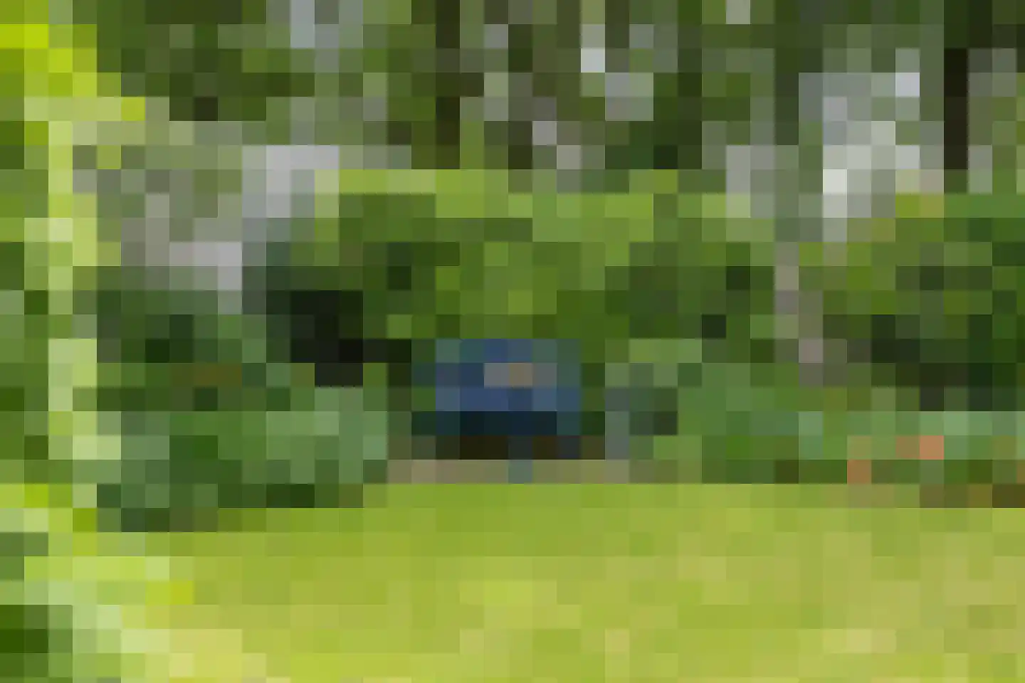 Lauwers 27 Tilburg thumbnail 22