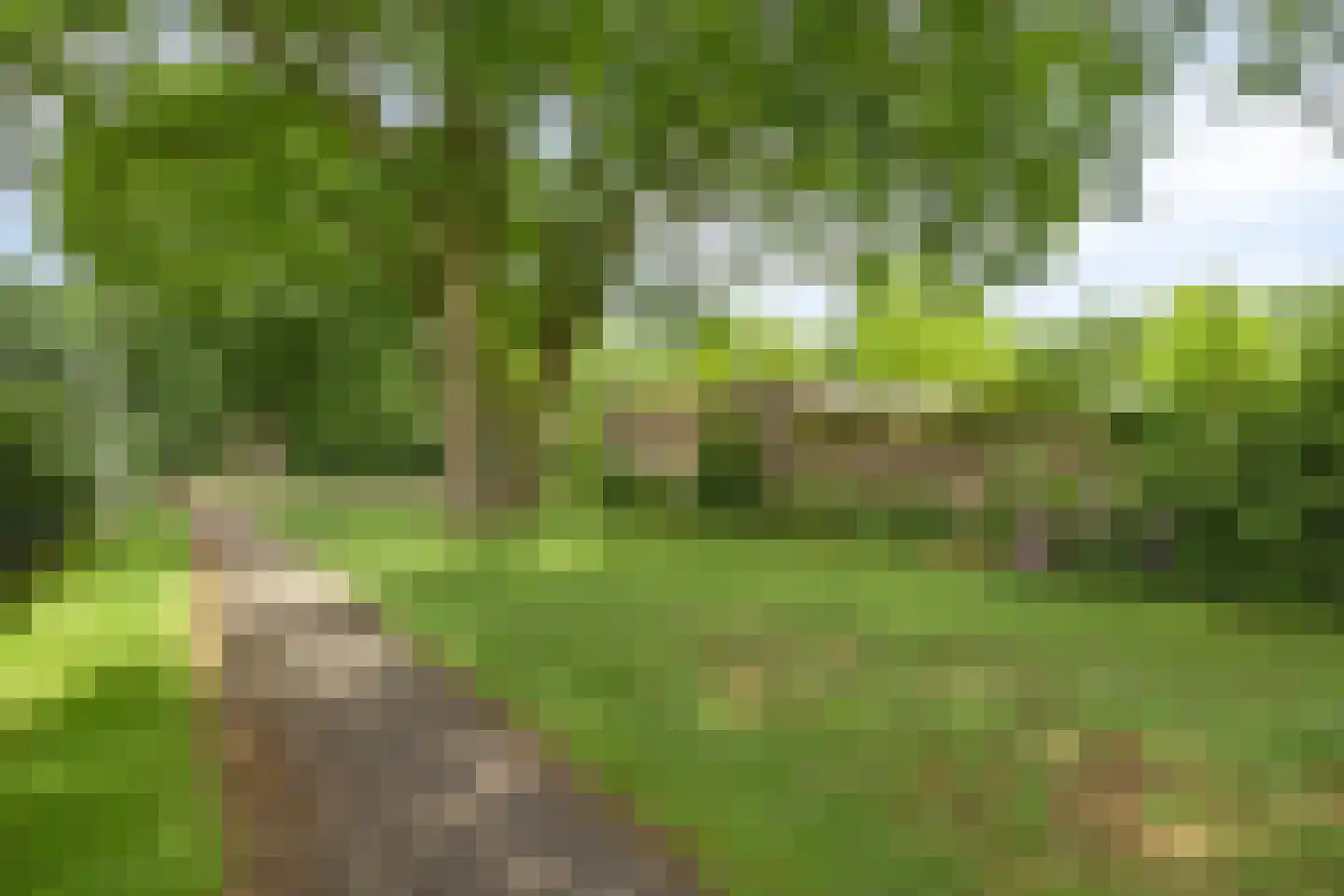 Lauwers 27 Tilburg thumbnail 31