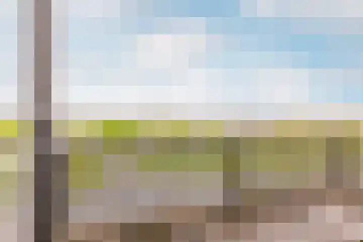 Lauwers 28 Hoofddorp thumbnail 19