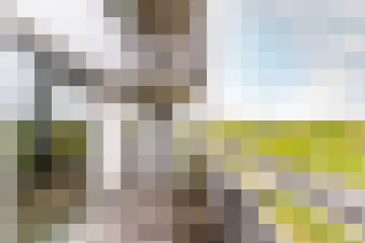 Lauwers 28 Hoofddorp thumbnail 21