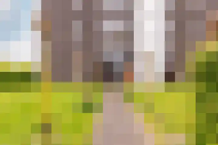 Lauwers 28 Hoofddorp thumbnail 22