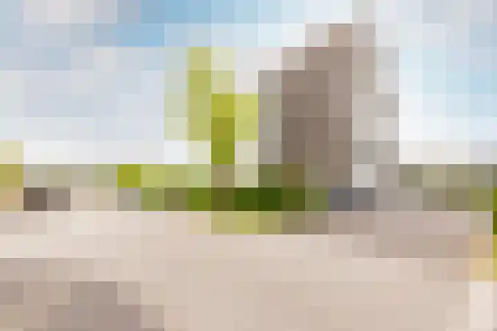Lauwers 28 Hoofddorp thumbnail 26