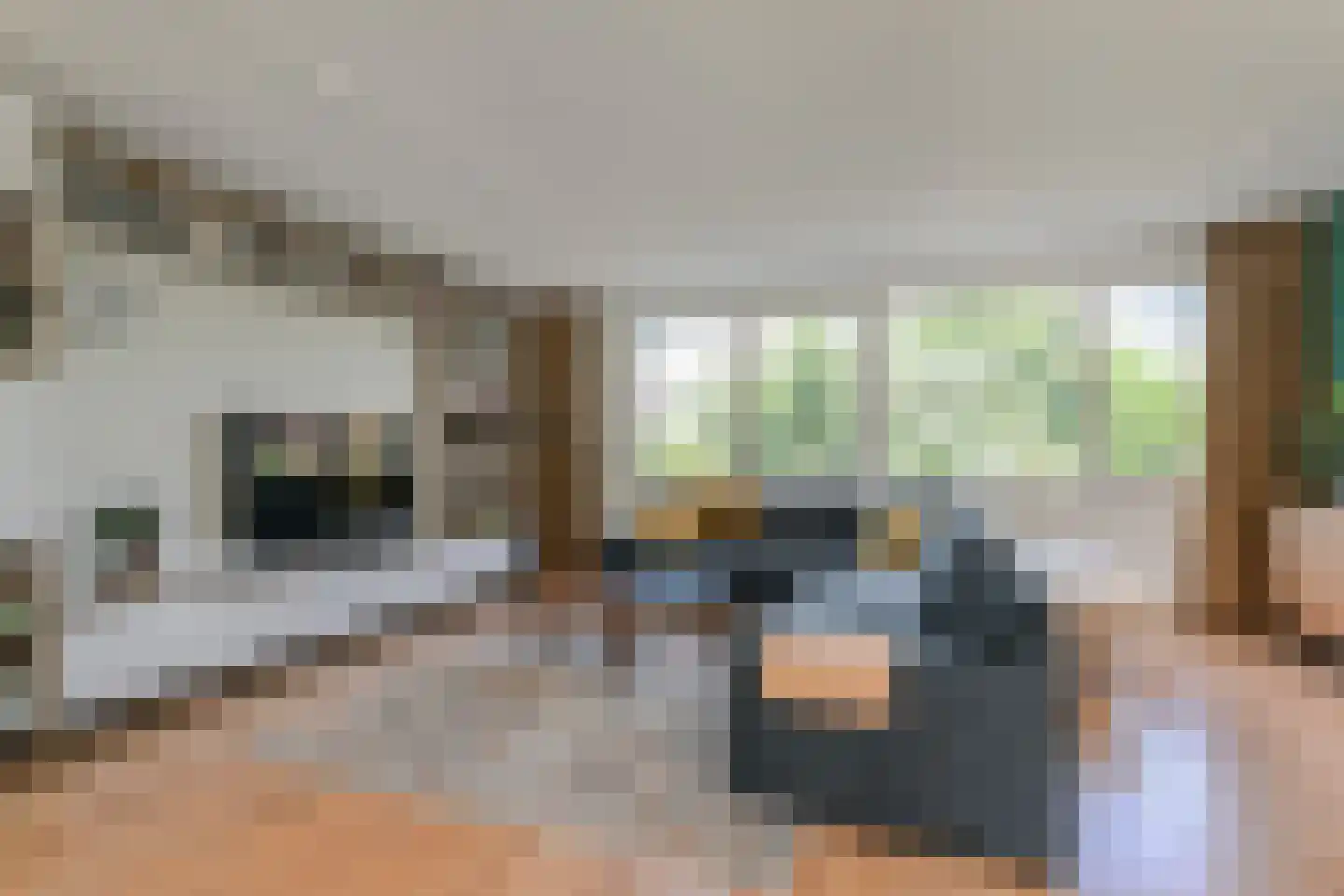 Lauwers 28 Nootdorp thumbnail 10