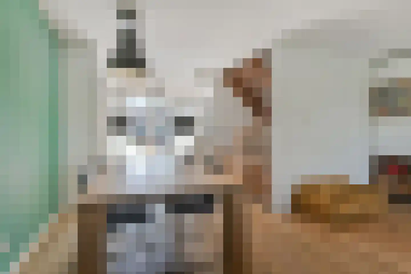 Lauwers 28 Nootdorp thumbnail 16